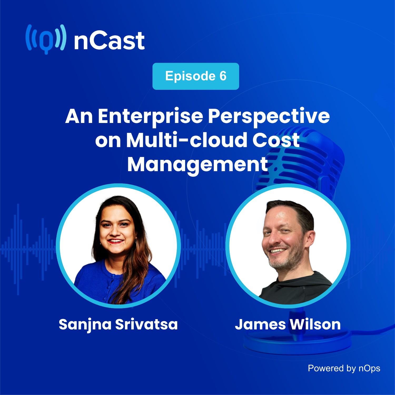 An Enterprise Perspective on Multi-cloud Cost Management